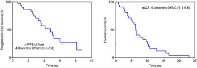HAIC as a potential therapy for esophageal cancer patients with liver metastasis: a retrospective cohort study